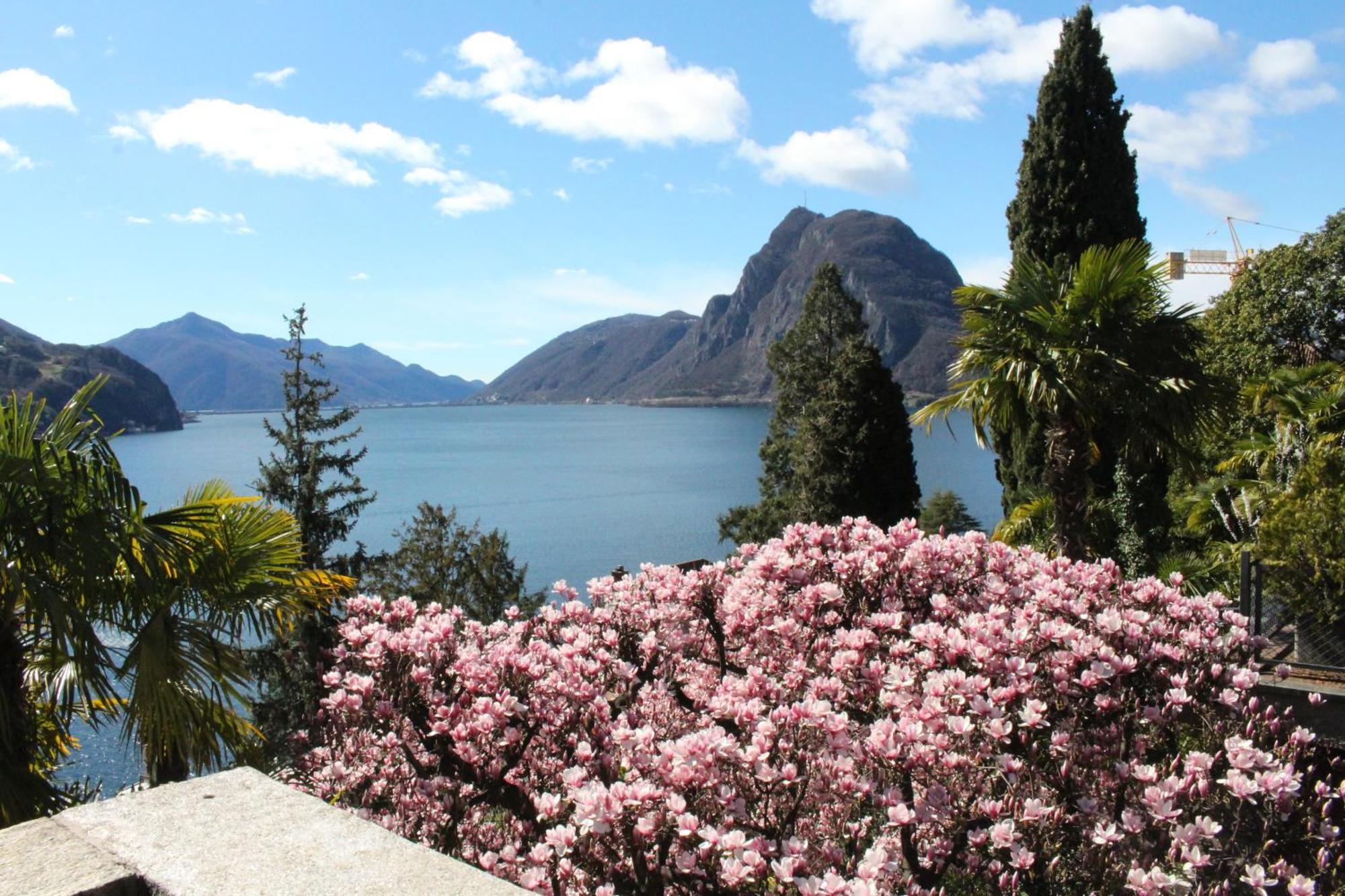 Barony Le Pergole Holiday Apartments Lugano Esterno foto