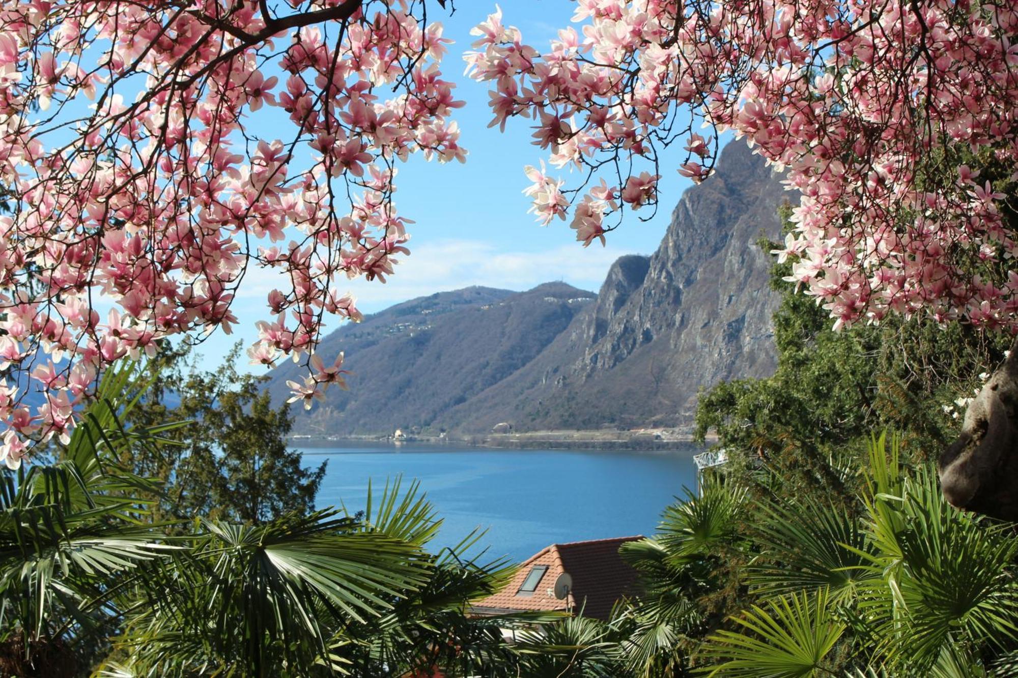 Barony Le Pergole Holiday Apartments Lugano Esterno foto
