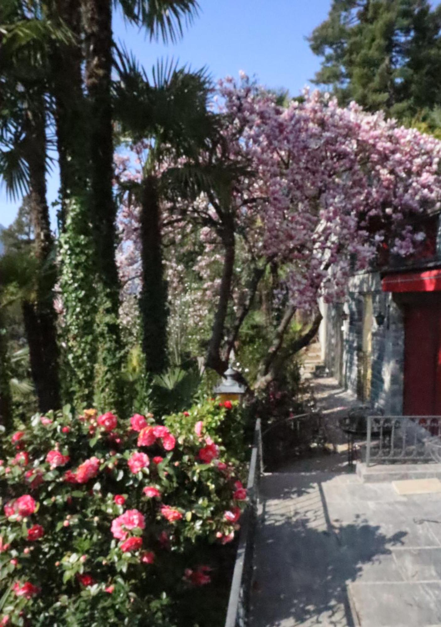 Barony Le Pergole Holiday Apartments Lugano Esterno foto