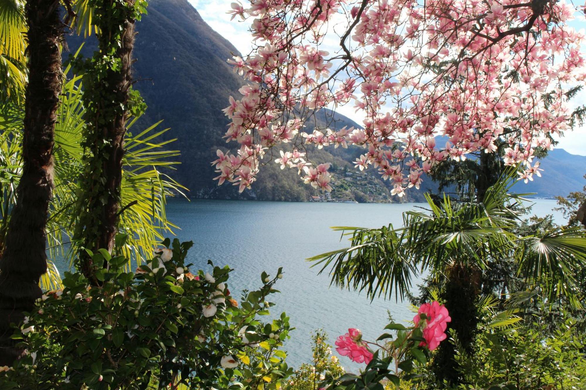 Barony Le Pergole Holiday Apartments Lugano Esterno foto